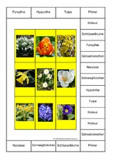 Bingo-Frühlingsblumen-1B.pdf